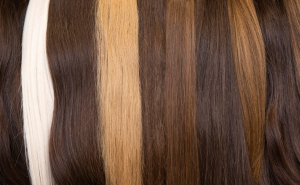 bounty media of brand Calove Hair