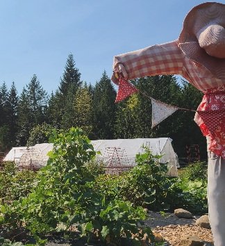 WildHavenFarm